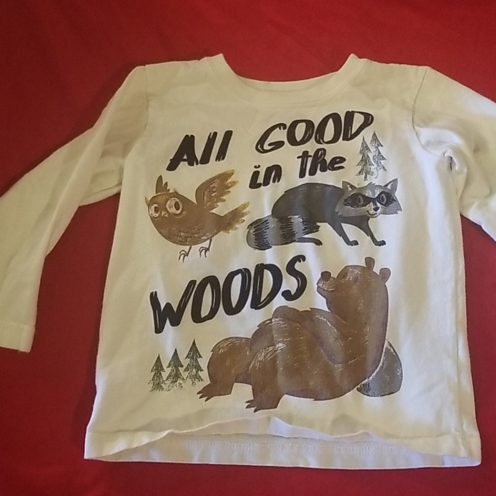 Little Boy's Shirt